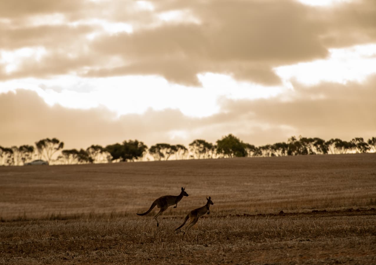 The Barossa’s Finest Accommodation experience