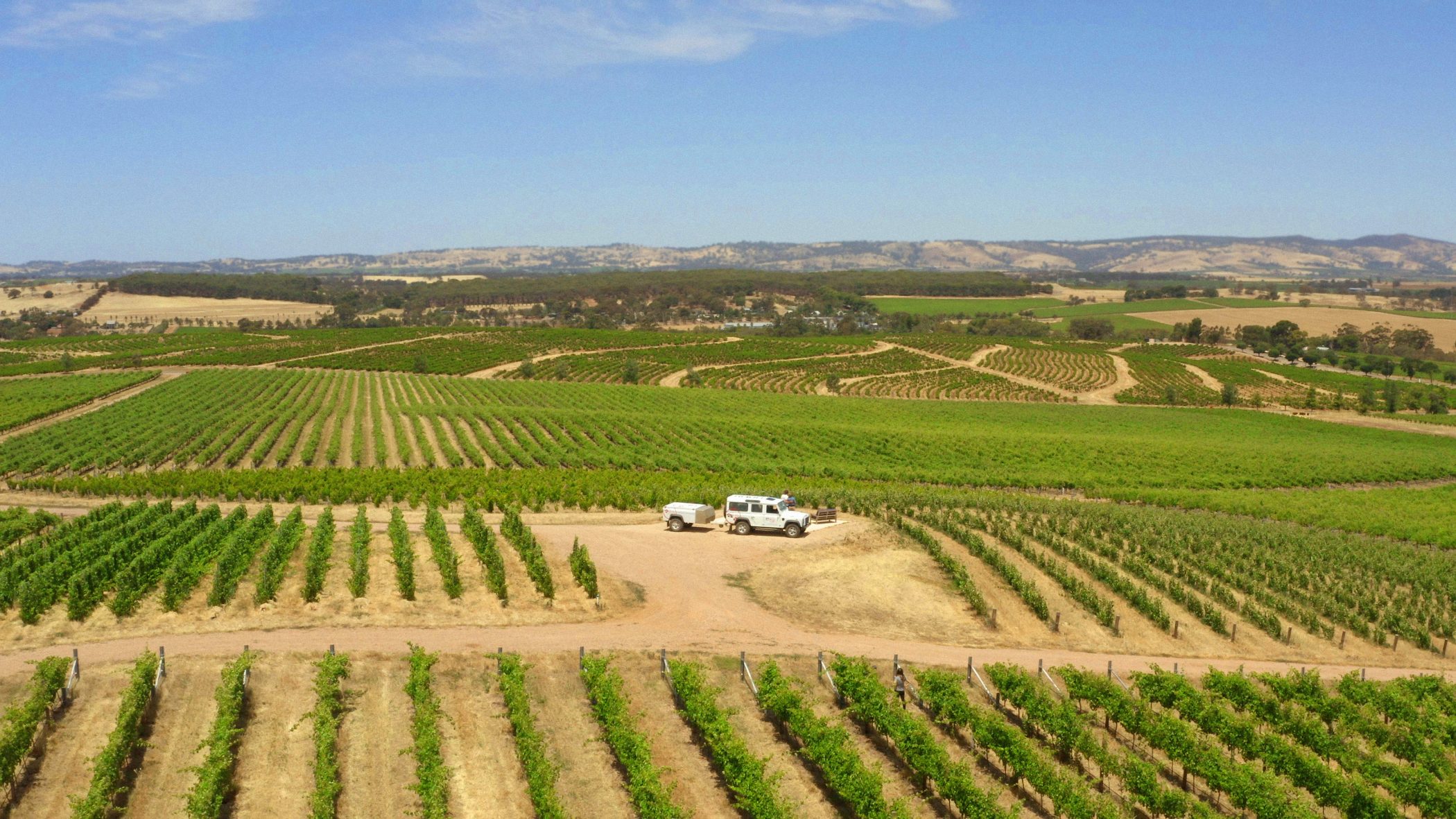Kingsford The Barossa